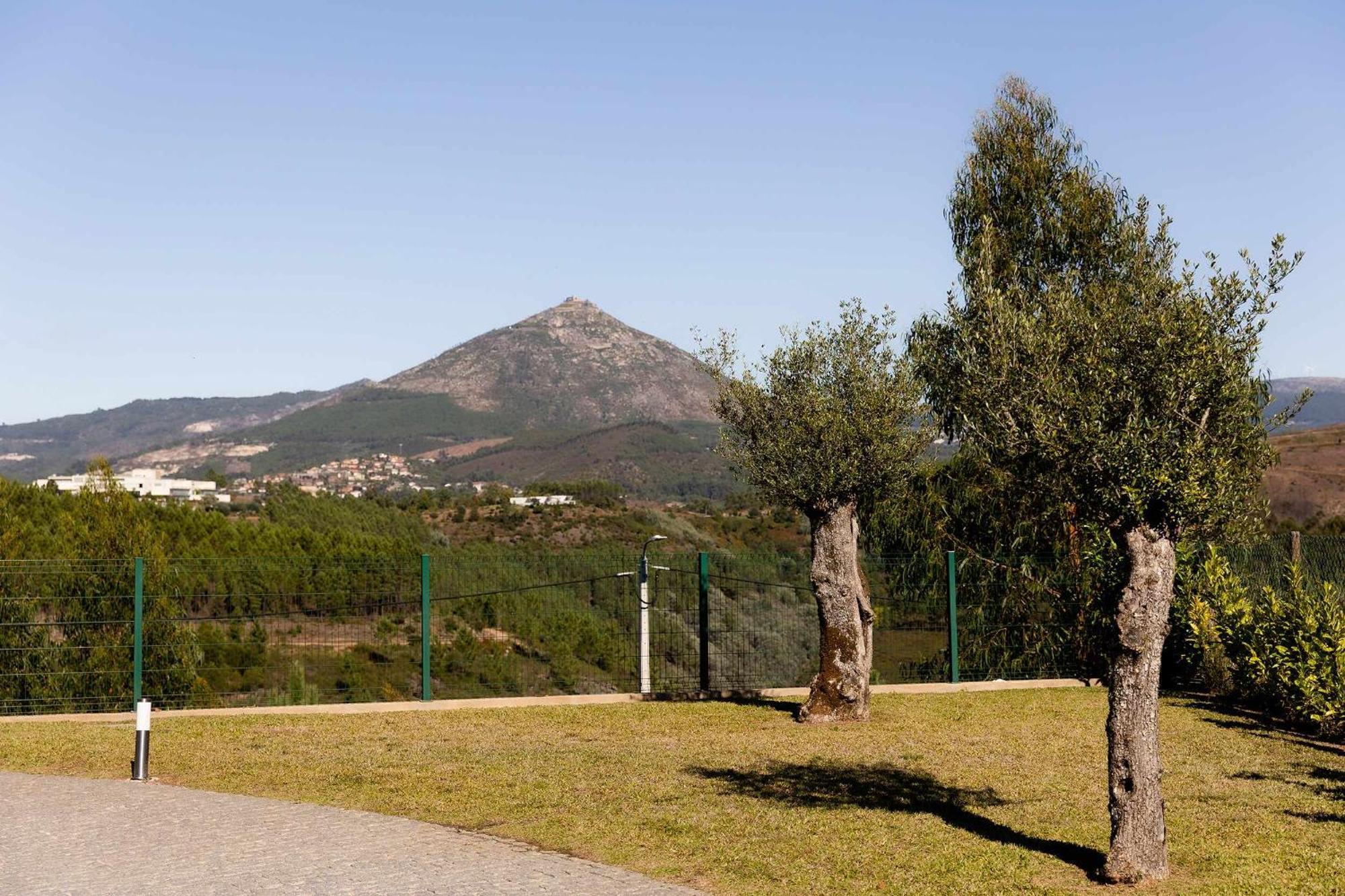 Casa Dos Mirtilos Draper T6 Celorico De Basto Dış mekan fotoğraf